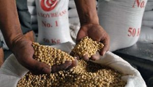 Harga Kedelai Meroket, Perajin Tahu Tempe di Jabar Bakal Mogok Produksi
