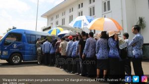 KemenPAN-RB : Honorer di 264 Jabatan Dialihkan ke Outsourcing