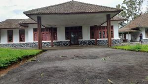 Jejak Pembersihan Palu Arit di Kebun Sawit Cikidang Sukabumi