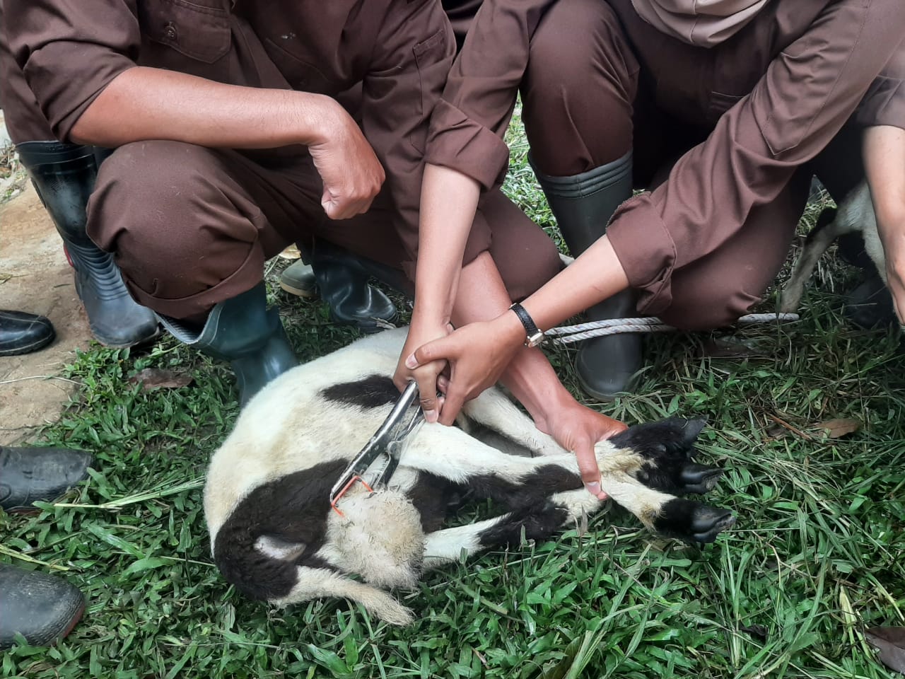 Mahasiswa Politeknik Pembangunan Pertanian (