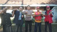 Relawan SIBAT PMI Kota Sukabumi Tangkap Ular Piton di Kandang Ayam Warga Baros