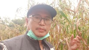 Abdul Muiz Tegaskan Pertanian Wajib Diwariskan ke Generasi Muda