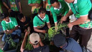 FormuIasi Pakan Ternak Organik, Manfaatkan Sumberdaya Lokal