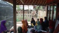 Mahasiswa Pendidikan Biologi UMMI Bangun Kawasan Konservasi Tanaman Obat Di Geopark Ciletuh