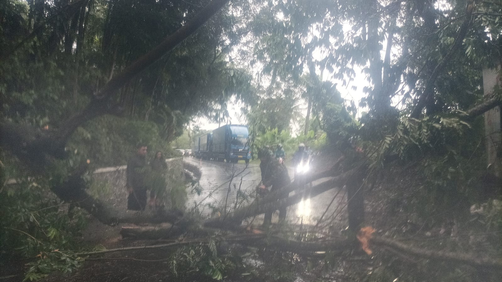 Para personel dari pemerintah kecamatan Simpenan Desa dan masyarakat saat melakukan evakuasi pohon tumbang