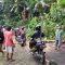 Pohon Tumbang Sukabumi