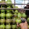 Pekerja menata tabung LPG 3