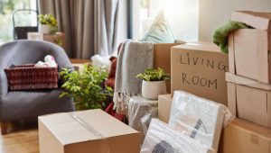 Mau Pindah Rumah, Ini Tips Berkemas Barang dengan Mudah