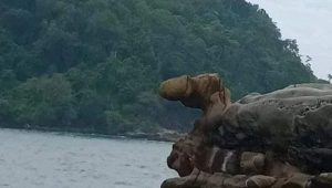 Sejarah Karang Kontol di Geopark Ciletuh Sukabumi yang Bikin Heboh, Begini Penjelasannya