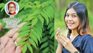 Manfaat Daun Kari, Penyedap Masakan Sekaligus Penjaga Fungsi Otak