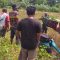 Mayat Ciemas Sukabumi