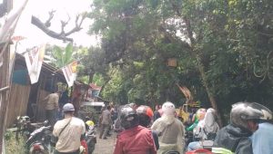 Dinas Perkim Kabupaten Sukabumi Pangkas Pohon Rawan Tumbang