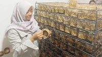 Produksi Kue Keranjang di Sukabumi Melonjak, Sehari Capai 1.500 Buah