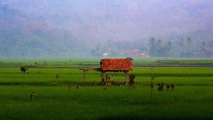 9 Hal yang Bikin Betah Tinggal di Pedesaan Sukabumi, Nomor 2 Realistis