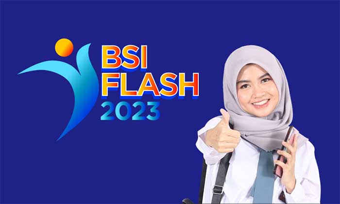 BSI FLASH 2023