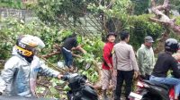 pohon tumbang yang menutup Jalan Raya Pondok