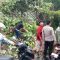 pohon tumbang yang menutup Jalan Raya Pondok