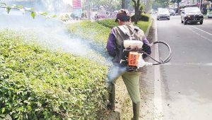 DPUTR Kota Sukabumi Maksimalkan Pemeliharaan Taman