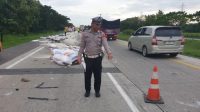 Petugas melakukan olah TKP kecelakaan lalu lintas di Tol Cipali