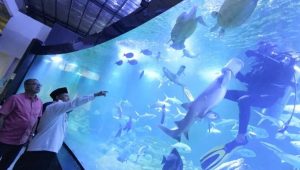 Tiket Aquarium Raksasa di Pangandaran Jabar Cuma Rp40 Ribu, Wagub Uu : Seperti di Dalam laut