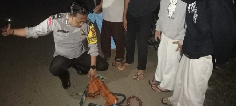 Sejumlah remaja di Cikakak saat diamankan oleh petugas polsek yang diduga hendak melakukan perang sarung