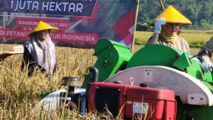 Kepala Dinas Pertanian Kabupaten Sukabumi Hadiri Gerakan Panen Padi Nusantara 1 Juta Hektare di Cikembar