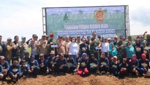 Wakil Bupati Sukabumi Dampingi Pangkostrad Panen Jagung, Menunjang Ketahanan Pangan Nasional