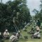 Sejarah Kopi Sukabumi