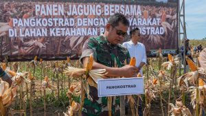 Di Sukabumi, Pangkostrad Panen Jagung, Penanaman Simbolis Padi Japonica Rice dan Wijen Hingga Peresmian Mess dan Gudang Hanpangan Kostrad