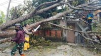 Cuaca Ekstrim Melanda Sukabumi, Tiga Kecamatan Dihajar Bencana Alam