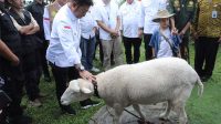 Mentan SYL Ajak para Petani Milenial Bogor Penuhi Kebutuhan Daging Lokal