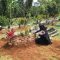 Salah satu korban pembunuhan berantai atau Serial Killer dukun pengganda uang Tohari di Jawa Tengah