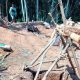 Kondisi di area tambang yang menewaskan penambang emas Ilegal di Ciemas Sukabumi. (foto : ist)Kondisi di area tambang yang menewaskan penambang emas Ilegal di Ciemas Sukabumi