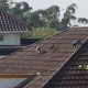SUASANA : Segerombolan monyet ekor panjang saat memasuki pemukiman penduduk di wilayah Desa Sukamekar, Kecamatan Sukaraja, Kabupaten Sukabumi.(FOTO : SCREEN SHOOT VIDEO WARGA)