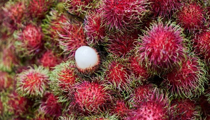 Ini 6 Manfaat Buah Rambutan bagi Kesehatan Tubuh
