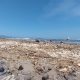 KOTOR : Kondisi pantai Talanca Loji, Desa Loji, Kecamatan Simpenan, Kabupaten Sukabumi banyak sampah.(FOTO : NANDI/RADARSUKABUMI)