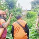 BPBD Kota Sukabumi