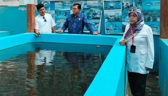 Dinas Perikanan Kabupaten Sukabumi Dampingi Diskan Badung Bali, Kunjungi Pembudidaya Ikan Koi