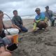 PENCARIAN : Tim SAR gabungan saat melakukan penyisiran nelayan yang hilang tenggelam setelah tersambar petir di Pantai Muara Cikaso, Desa Buniasih, Kecamatan Tegalbuled, Kabupaten Sukabumi pada Kamis (11/05).(FOTO : UNTUK RADAR SUKABUMI)