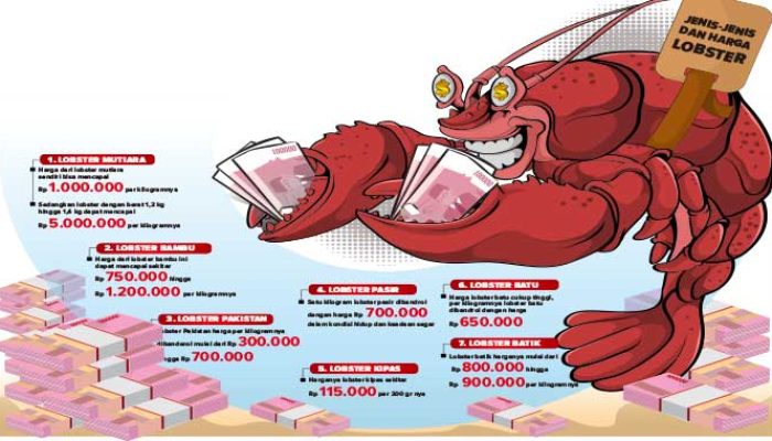 Kronologis Benih Lobster Sukabumi Rp4,1 M Diselundupkan
