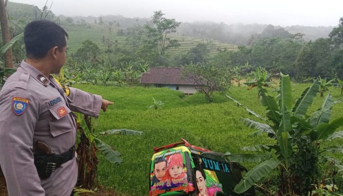 Mobil Elf di Waluran Sukabumi Terjun ke Sawah Saat Ditinggal Sopir Beli Kopi