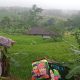 Kendaraan Mitsubshi Elf dengan nomor polisi F 7569 UD terjun ke sawah di Kampung Cibalok, Desa Waluran Mandiri Kecamatan Waluran, Kabupaten Sukabumi.