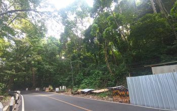 Suasana ruas jalan nasional Palabuhanratu - Cisolok, tepatnya di tanjakan cagar Alam Sukawayana yang berlokasi di desa/ Kecamatan Cikakak, kabupaten Sukabumi akan dibangun DPT. (FOTO : NANDI/ RADARSUKABUMI)