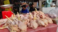 NAIK : Harga daging ayam naik di Pasar Palabuhanratu mengalami kenaikan. (FOTO : NANDI/ RADARSUKABUMI)