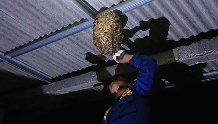 Animal Rescue Damkar Kota Sukabumi