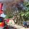 Dishub Kota Sukabumi