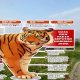 Harimau Jawa