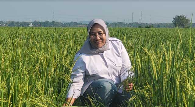 Indah Megahwati