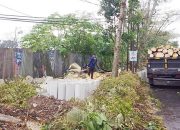 Penebangan Pohon Kota Sukabumi