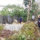 Penebangan Pohon Kota Sukabumi
